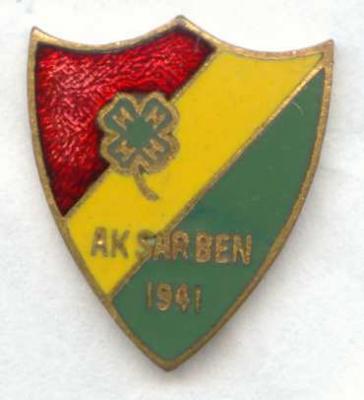 1941 Pin Image